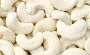 Premium Dried Raw Cashnew Nuts
