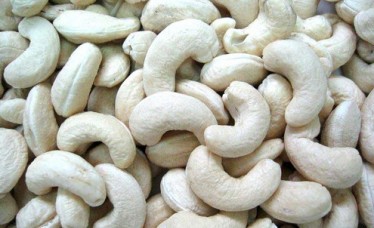 Cashnew Nuts from India