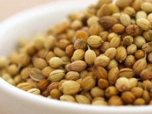 Coriander Seed For Export