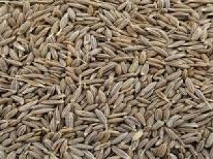 High Grade Wholesale Cumin Seed