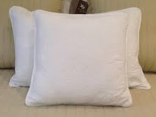 Plain Fancy Cushion In White Color