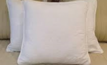 Plain Fancy Cushion In White Color