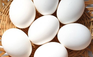 Best White Chicken Eggs for Export