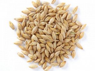 Barley Exporter