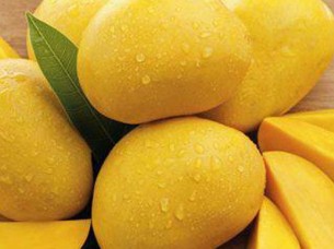 Fresh Alphonso Mango Supplier