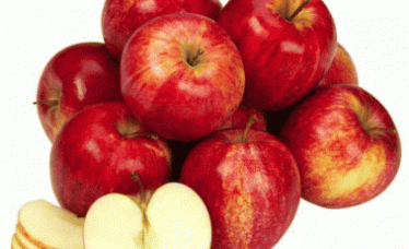 Fresh Delicious Red Kashmir Apples/Himachal Apples