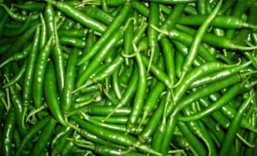 Fresh Green Chilli Exporter