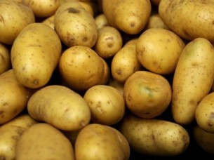 Fresh Indian Potato Supplier