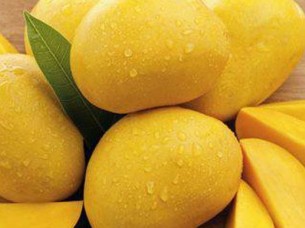 Best Quality Mangoes Supplier