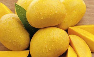 Best Quality Mangoes Supplier
