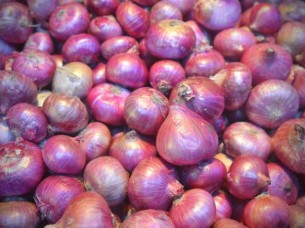 Fresh Red Onion From India