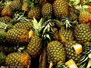 Fresh Pineapple Export Best Quality
