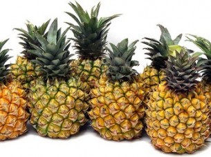 Fresh Pineapple Delicious Taste For  Export