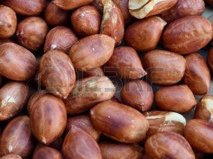 Best Quality Peanut