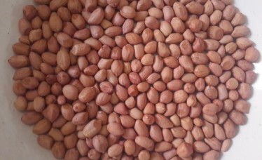 Red Skin Raw Peanut without shell