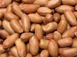 Raw Peanut for Sale