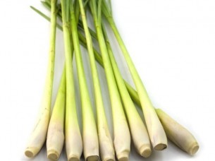 High Quality and Good Price Frozen Lemon Grass