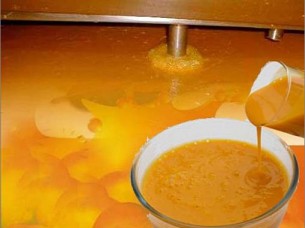 Hot Sale Mango Pulp Frozen/Aseptic