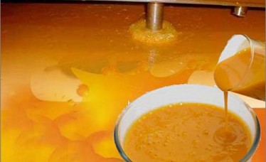 Hot Sale Mango Pulp Frozen/Aseptic