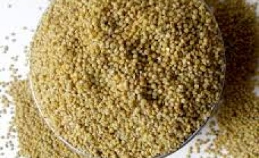 High Quality Millet from India