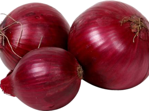 Fresh Red Onion Exporter From India