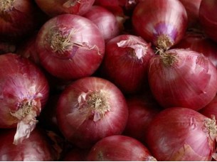 New Crop Red Onion Supplier
