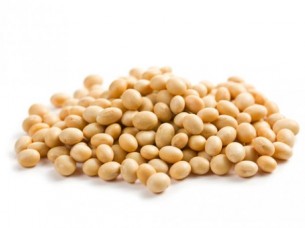 Fine Quality Soybeans