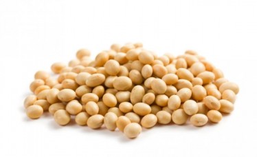 Fine Quality Soybeans