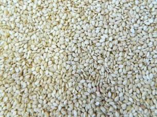 Hulled Sesame Seeds Supplier