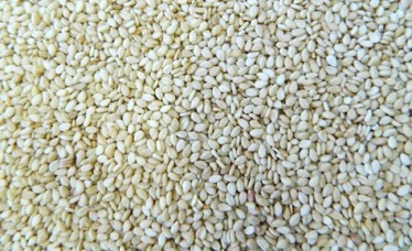 Hulled Sesame Seeds Supplier