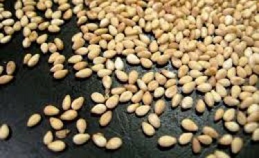 Indian Hulled White Sesame Seeds