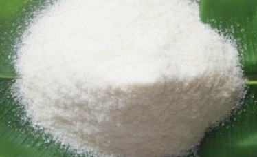 Best Quality Desiccated coconut powder