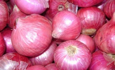 Best Quality At Wholesale Fresh Red Onion Exporter From India