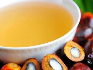 100 % Pure Refined Palm Oil