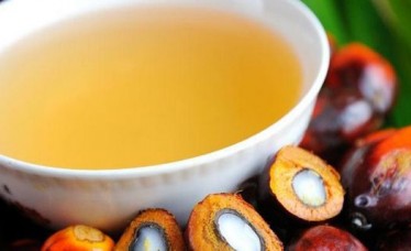 100 % Pure Refined Palm Oil