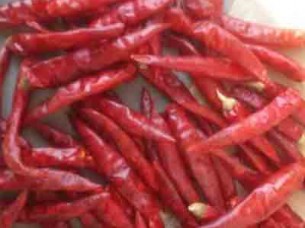 S 12 stemless Red Chilli For Export Market from India