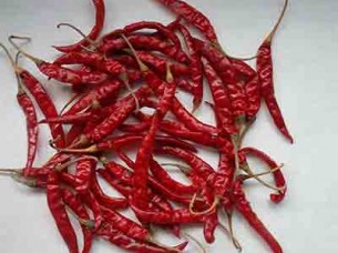 S 17 teja chilli For Gulf Countries
