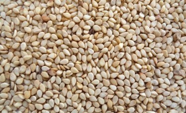 Dried Sesame Seeds