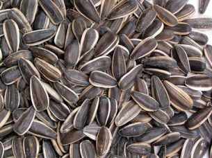 Export Quality Sunflower Seeds