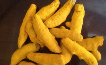 Best Supplier Of Raw Turmeric
