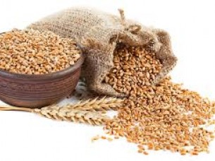 Protein milling Wheat